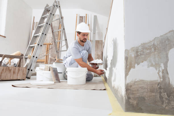 Best Residential Painting  in West Branch, MI