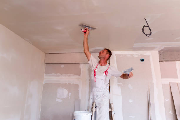 Best Drywall Removal and Disposal  in West Branch, MI